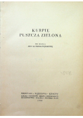 Kurpie. Puszcza zielona