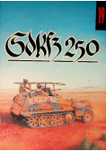 Sd Kfz 250 Nr 19