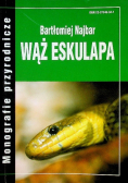 Wąż Eskulapa