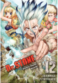 Dr Stone. Tom 12