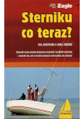 Sterniku co teraz