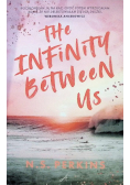 The Infinity Between Us