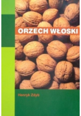 Orzech włoski