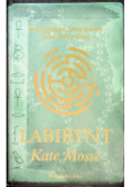 Labirynt