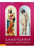 Sanktuaria Diecezji Rzeszowskiej