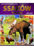 Ilustrowana encyklopedia ssaków Polski