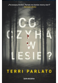Co czyha w lesie?