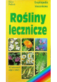 Encyklopedia kieszonkowa Rośliny lecznicze