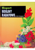 Rośliny rabatowe
