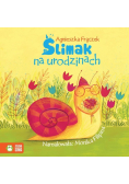 Ślimak na urodzinach