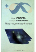 Mózg- tajemniczy kosmos
