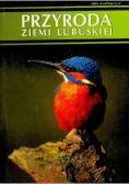 Przyroda ziemi Lubuskiej