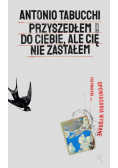 Przyszedłem do ciebie, ale cię nie zastałem