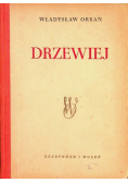 Drzewiej 1950 r.