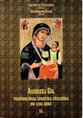 Prawosławna Eparchia Chełmska do 1596 roku