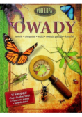 Pod lupą  Owady