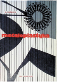 Metaloplastyka