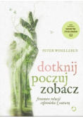 Dotknij, poczuj, zobacz. Fenomen relacji człowieka z naturą