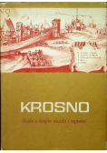 Krosno studia z dziejów miasta i regionu Tom I