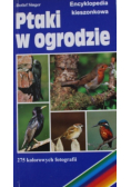 Ptaki w ogrodzie