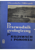 Przewodnik geologiczny po Kujawach i Pomorzu