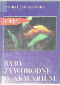 Ryby żyworodne w akwarium