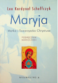 Maryja Matka i Towarzyszka Chrystusa