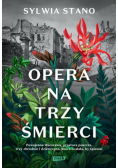 Ogród cieni