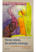Teraz wiem że anioły istnieją
