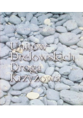 Unitów Drelowskich Droga Krzyżowa