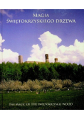 Magia świętokrzyskiego drzewa