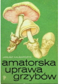 Amatorska uprawa grzybów