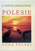 Polesie Cuda Polski