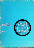 Atlas osadu moczu