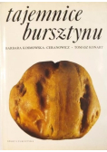 Tajemnice bursztynu