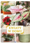 Kwiaty w domu