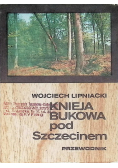 Knieja bukowa pod Szczecinem