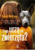 Czego uczą nas zwierzęta?
