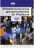 Elektroniczna gospodarka w Polsce