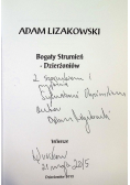 Bogaty strumień