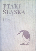 Ptaki śląska