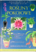 Rośliny pokojowe