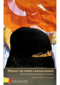 Między Islamem a Kemalizmem problem demokracji