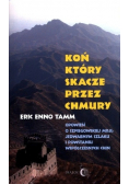 Koń który skacze przez chmury