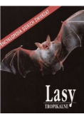 Lasy Tropikalne
