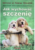 Jak wychować szczenię
