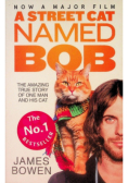 A street cat named bob