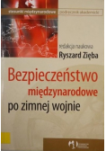 Bezpieczeństwo międzynarodowe po zimnej wojnie