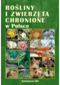 Rośliny chronione w Polsce