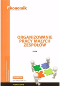 Organizowanie pracy małych zespołów